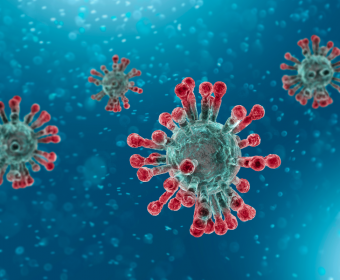 coronavirus